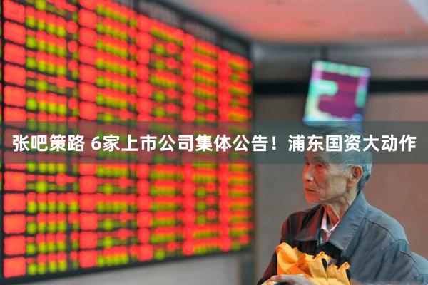张吧策路 6家上市公司集体公告！浦东国资大动作